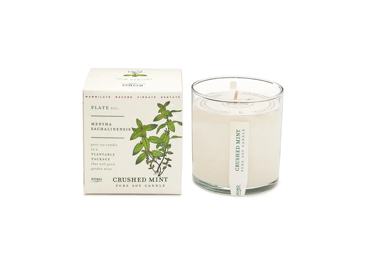Crushed Mint Soy Candle