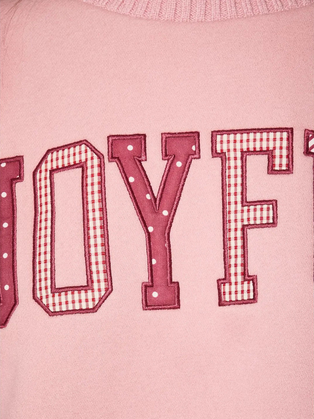 Pink Joyful Cropped Sweatshirt