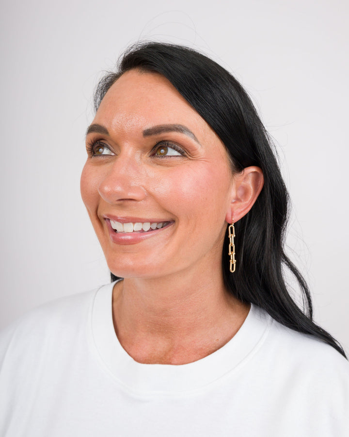 Four Link Drop Earrings