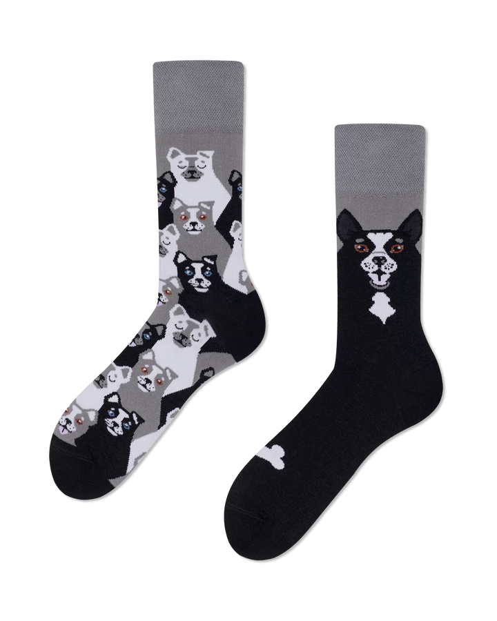 Black Dog Socks-Final Sale