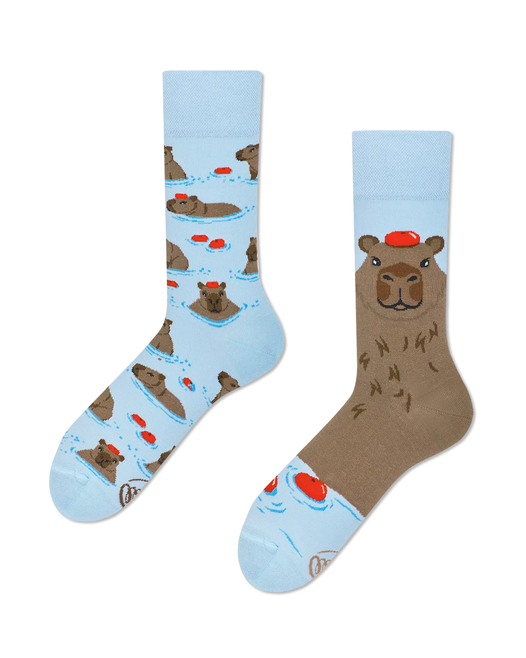 Capybara Socks