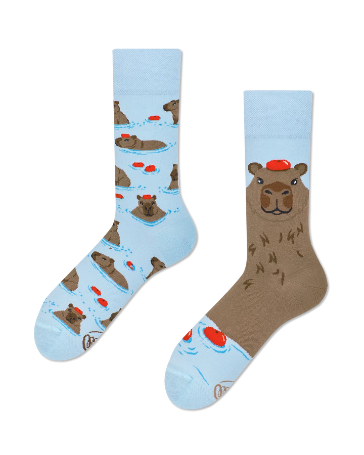 Capybara Socks