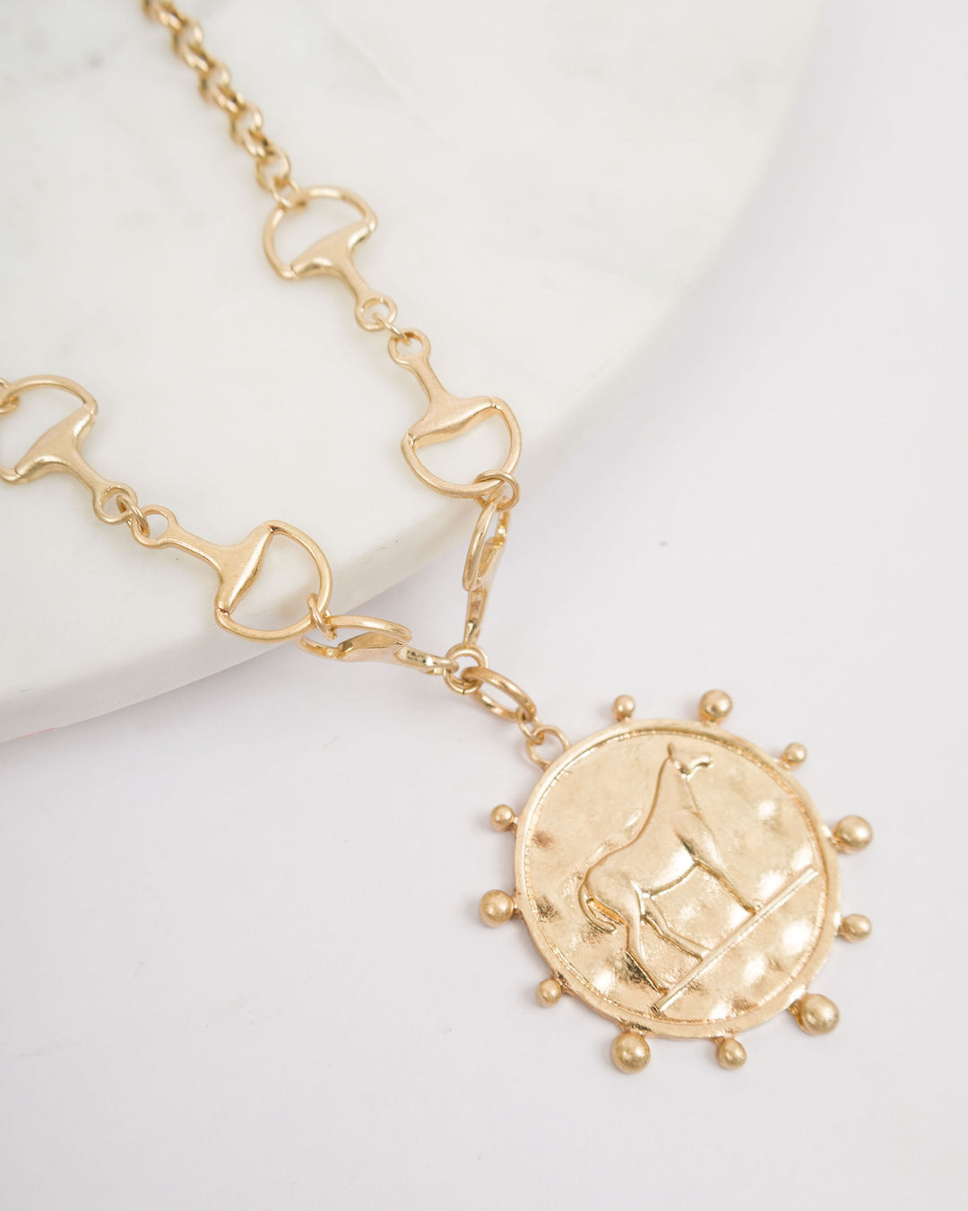 Bridle with Horse Medallion Necklace