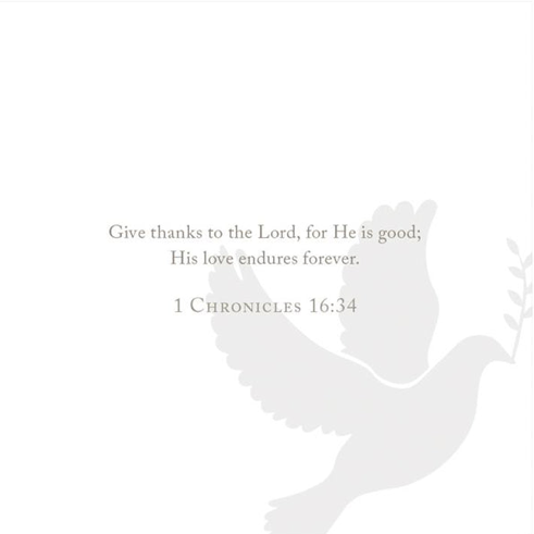 Anne Neilson Promise Scripture Cards