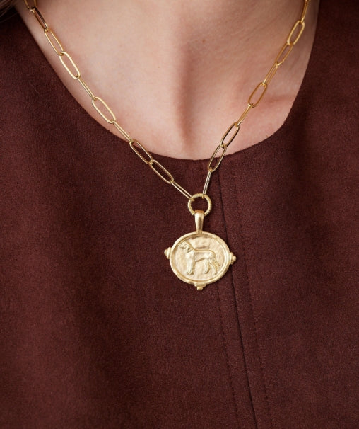 A close-up of a gold paperclip chain necklace with a circular dog pendant, worn by a person in a dark brown top.
