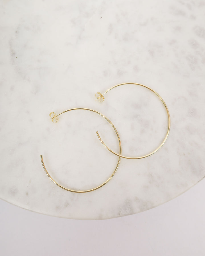 Sheila Fajl Jillian Hoops