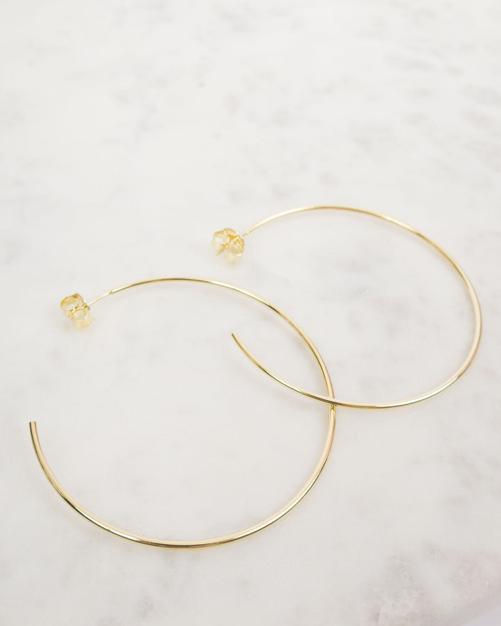 Sheila Fajl Jillian Hoops