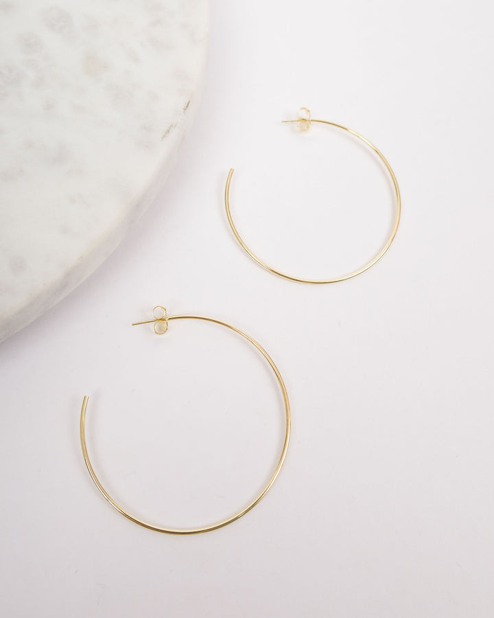Sheila Fajl Jillian Hoops