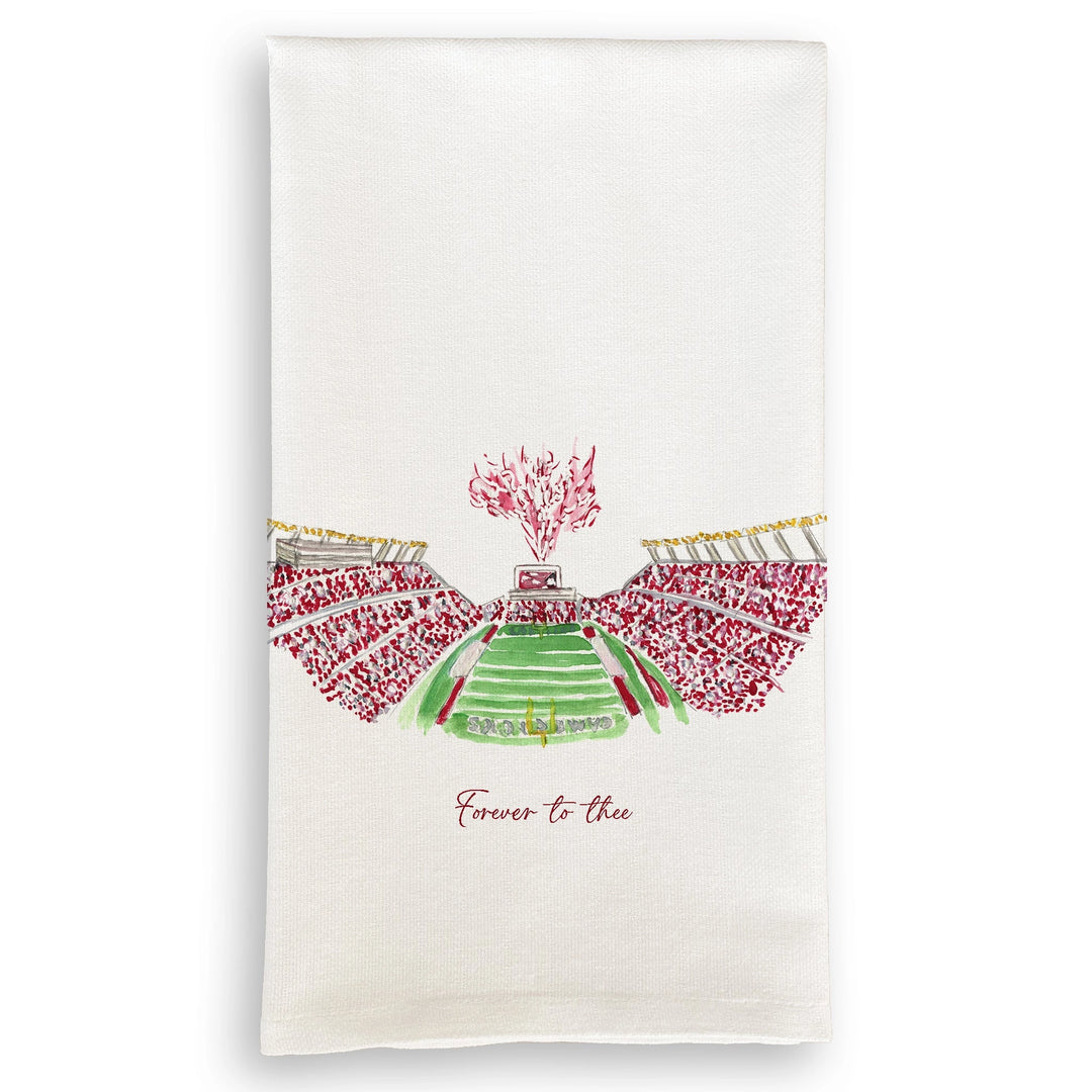 Stadium Dish Towel - South Carolina