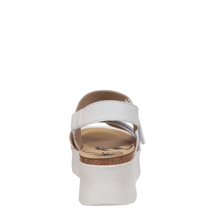 MONTANE in DOVE, back view