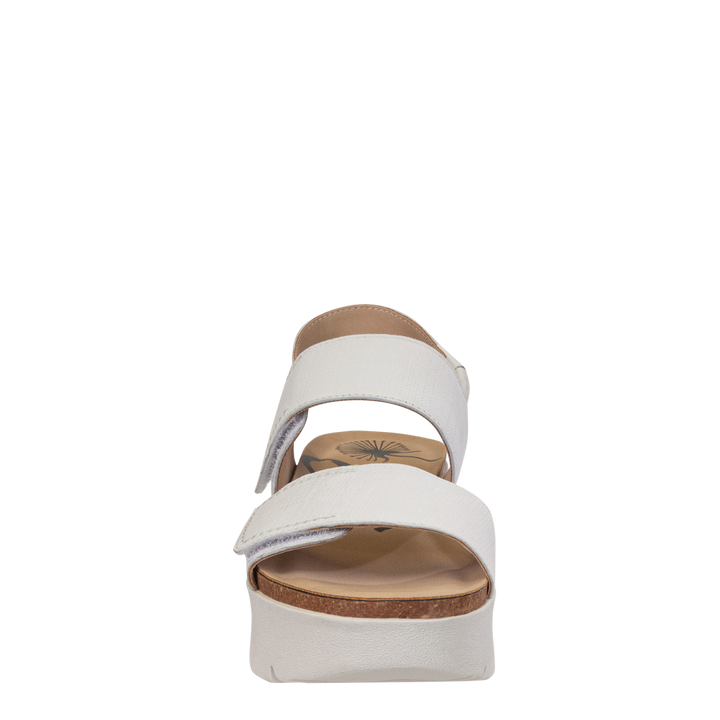 MONTANE in DOVE, front view